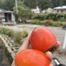 장터이야기 이미지