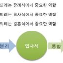 토끼세상