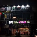 대박제주꽃돼지