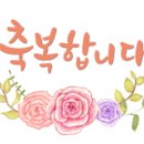 디어마이플라워 이미지