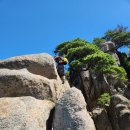 무브릿지 이미지