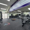 탄천종합운동장 주경기장 이미지