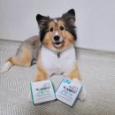 반자주 민락점 이미지