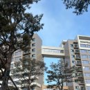 골드당구장 | 강원도 고성 | &#39;소노펠리체 델피노&#39; 골드/취사/파노라마뷰 객실 후기