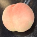 청봉농장 | [복숭아 꿀팁] - 부작용, 효능, 맛있는 복숭아 고르기, 보관, 품종