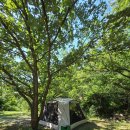 [캠핑🏕]가평호명산캠프 계곡존 솔직후기, 그리고 사마야 50프로 할인 오픈런 실패..