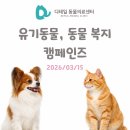 유기 및 야생동물 관리 전문가 양성과정 | 소하 동물병원) 이번주 유기동물·동물학대 뉴스 + 국민청원·캠페인 한눈에 정리 2026.03.15