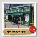 제주 함덕 오드랑베이커리 마농바게트 솔직한 내돈내산 평일포장후기
