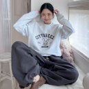 (수정)가격오름! 2만원대 됨. 오지마... 시티브리즈 시티 스내피 그래픽 스웨트 셔츠 16750원(토스 1.5퍼 추가적립가능) 이미지