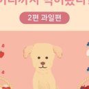 상암동물병원 이미지