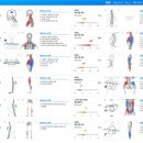 3세트짐 체형교정센터 이미지