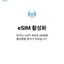 거북이 몰 이미지