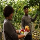 외길농장 이미지