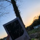 죽녹원 | [담양] 대나무가 보고싶다면 죽녹원 '내돈내산' 후기