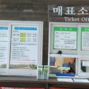 대정읍 영어교육도시내 곶자왈 이미지