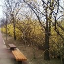 학의천변 이미지