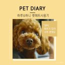 하루화 | [디팡캠페인사용후기]#하루하니