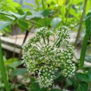 빛나는피부 - 서구 관저동 | 빛나는피부