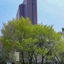 장충단공원 이미지