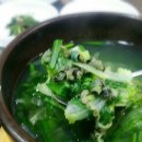 착한 다슬기 이미지