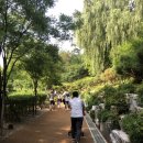 광명사 | 여름방학 가볼만한 곳, 서울근교 광명동굴