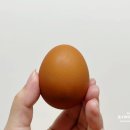 일심축산
