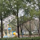 인천성리중학교 | 구월동고기집 구월아시아드맛집 별삼겹