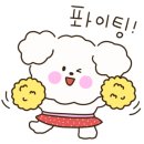 디스크독연구소 이미지