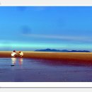 차이나 당구장 이미지