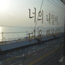 오이도 방파제 칼제비 네이버블로그