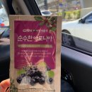 넷싸 없인 못 살아 👯‍♀️👯‍♀️