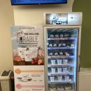 주식회사 온힐펫 석남점 | 인천 반려동물용품, 온힐펫/온힐펫 석남점/석남역 온힐펫