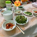 구미 칠곡 계곡식당 물놀이 평상대여 애견동반가능 금화식당