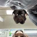 [헤니헤닝의 블챌] 11월의 시작, 역시나 얼레벌레 내 일상