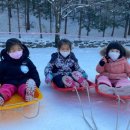 쌍류초등학교 이미지