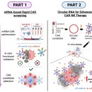 고려대학교 KU-KIST융합대학원 | [BRIC 뉴스레터] 노화 시계 되돌리는 ‘유전자 스위치’ 개발