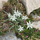 3일 : 알타비아 1.-1(브라이에스 호수 ~ <b>문트</b> 세네스 산장)