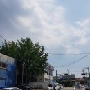 탱크조개&짬뽕 이미지