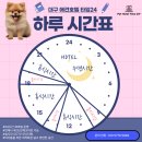 애견은 내친구 이미지