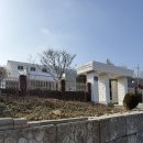 333 | 군산 대야 감성 카페 통사리333