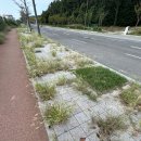 인공 + 자연 이미지