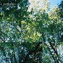 하루한올 이미지