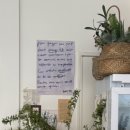 꽃꽂이(야) 이미지