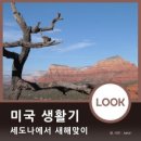 (주)피닉스홀리데이