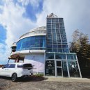 코우코알라 이미지