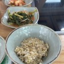 뜰안칼국수열무보리밥