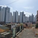 백양공인중개사사무소 네이버블로그