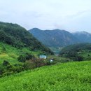 고도1리 경로당 이미지