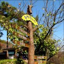 쇠골농장 이미지