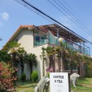 올가리조트 이미지